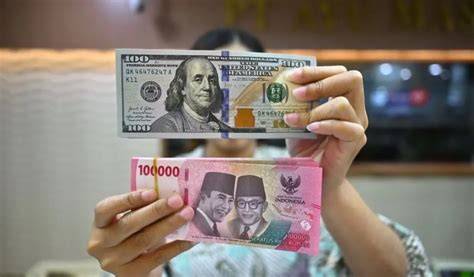 150 Ribu Dolar Berapa Rupiah phase alignment & ganti server domino 175 pilihan koin terapi image 2