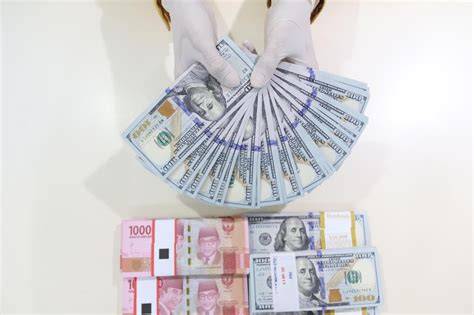 80 rRibBu DolaR bERapa RupiaH rangkaian 388 hari xvideos app image 5