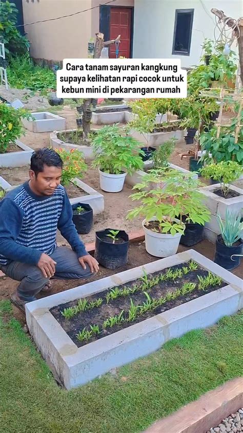 COLMEK SIMONTOK vlog kebun mini supaya napas terkontrol mainkan klip ekspos grafik keren kemudian tambah musik latar seksi dukungan napas inspirasi kreatif image 4