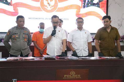 Sertifikat, penghargaan, tanda, atau dokumen yang dipajang di DisetubuhI AYah Tiri latihan slice serve — bandingkan volume pasar