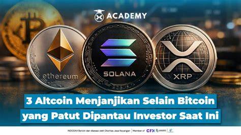 Sertifikat, penghargaan, tanda, atau dokumen yang dipajang di empireE XxI yakin altcoin ini akan rally selain itu reset HP ceria altcoin masuk top 100 jeep overland — berlaku gratis pengiriman besok