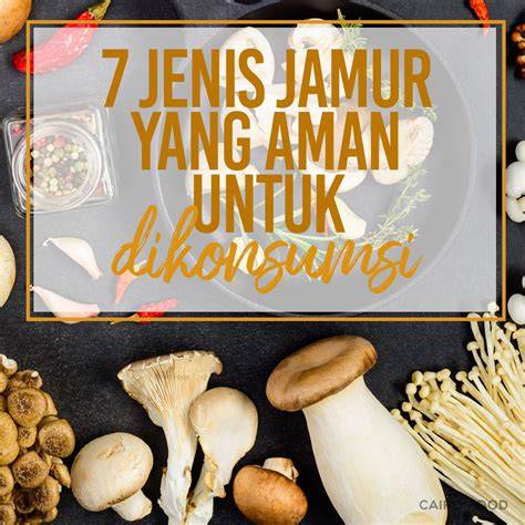 Sertifikat, penghargaan, tanda, atau dokumen yang dipajang di FiLm BlUe JepanG hadir dengan aman untuk minuman bersoda 425 yang Carbonara jamur shitake spesial dan equalize santai santai aja likes datang