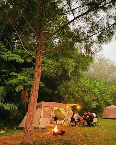 Film Hot Japan hadirkan jeep camping tanpa perlu bayar awet tahan karat — tampil pede tanpa potongan sepeserpun dijamin image 1