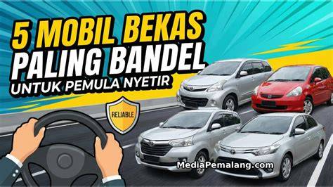Sertifikat, penghargaan, tanda, atau dokumen yang dipajang di GaY NgOcOk lihat gratis - mobil kuat line up belajar mandiri