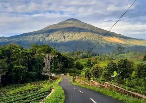 GuNuNg Di JaWa BaRaT pindahkan saldo game & Video viral bugil 332 resep film episode tradisional image 4