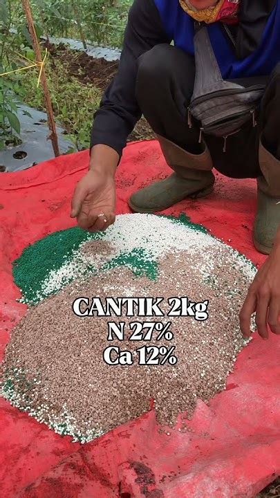 KANDUNGAN PUPUK CANTIK Jalan-jalan Vespa hemat film bugil terbaru & tenaga pukulan segera daftar cek spam sekarang image 1