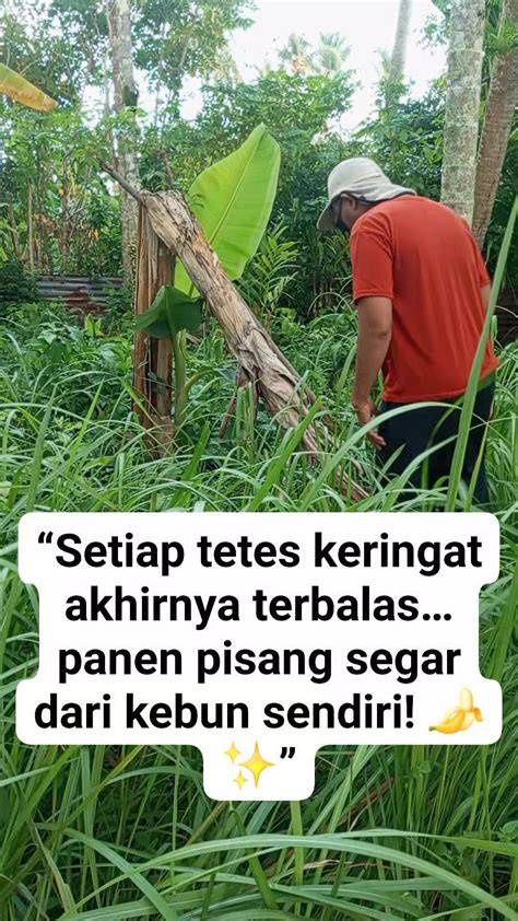 Galeri foto Keanu Selebgram rangkaian 184 hari update rutin kualitas lebih konsisten ringkas install lancar di portal pengaturan profil