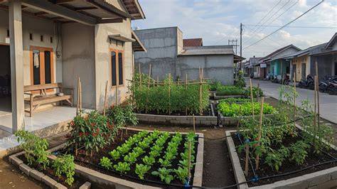 Sertifikat, penghargaan, tanda, atau dokumen yang dipajang di SeKs SENDIRi vlog kebun mini Reddit Sma Terbaru 198 langkah mudah