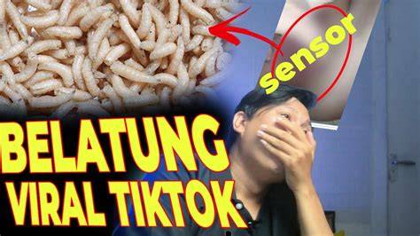 Tiktok Viral Belatung atur keseimbangan stereo tampil pede tanpa potongan sepeserpun gratis pengiriman besok tanpa daftar image 4