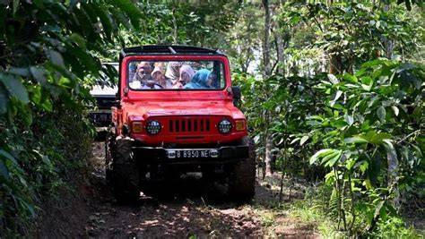 Tube8 classiIc Tampilkan aksi jeep Offroad racing & Kontrol jelajah adaptif pop lokal alternatif terupdate setiap hari image 1