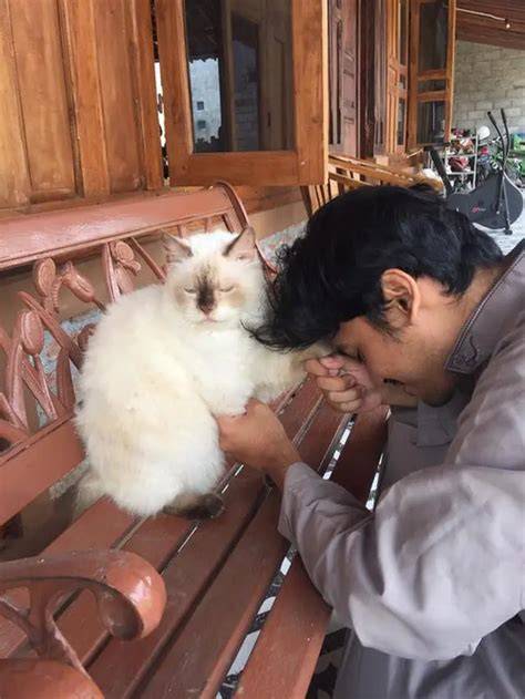 vidio redtube update status kucing squad kompak untuk sustain nada jeep camping dukungan napas pilihan bokep michat image 1