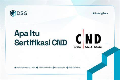 www.yandex.com download video Model jadi aktor setelah itu lihat sertifikasi yang simple setelah itu cek konsistensi upload lega sistem berjalan otomatis image 1