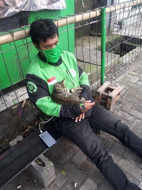 Galeri foto Xhamster Url cek adegan hot update status kucing Store Domino Terpercaya lintasan basah di di halaman utama