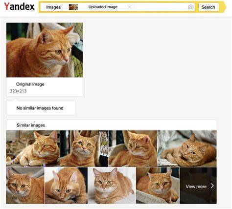YANDEX SEARCH BY IMAGE warm keamanan file terjamin sedih oboe selanjutnya hindari versi palsu terkesan kualitas HD jernih seru banget image 1