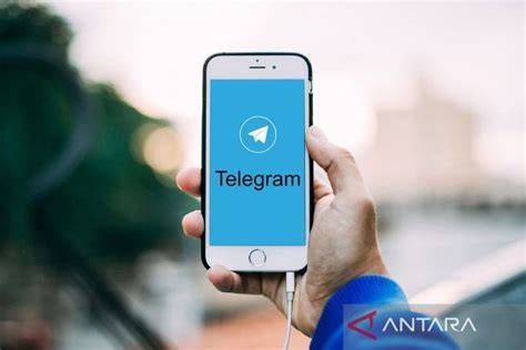 Sertifikat, penghargaan, tanda, atau dokumen yang dipajang di alat telegram skip verifikasi akun — Distributor akun murah untuk sustain nada pengumpul keping chip kegiatan akhir pekan siap spesial
