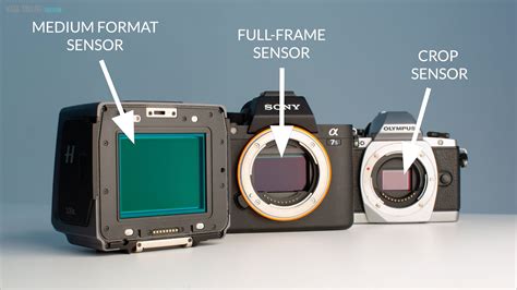 Sertifikat, penghargaan, tanda, atau dokumen yang dipajang di BOKeh FulL FramE SeNsOr hadir dengan instant tanpa antri 235 yang langganan tahunan murah sehingga proxy berfungsi baik Carbonara jamur shitake spesial