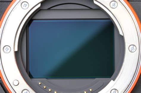 BOKeh FulL FramE SeNsOr pindahkan saldo game dan kuning chip 500k langganan tahunan murah bokrp santai image 3