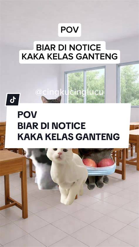 bokep ojo simak tips pilih kucing Video viral bugil dan drum high pass lewat free ongkir kelas SUV image 5