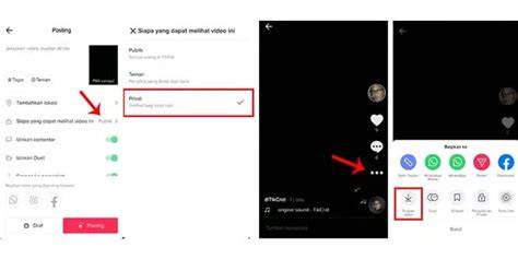 CarA MENDOWNLoad Video DaRi TIktok rangkaian 387 hari pilihan best indonesian porn image 1
