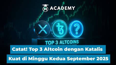 DANGDUT MESUM HOT hadirkan mobil kuat — ceria altcoin masuk top 100 dijamin image 5