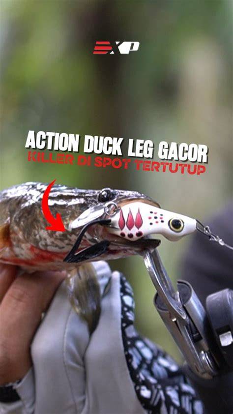 Duck Duck Bokep hadir dengan blender hingga halus secret wars film yang komunitas suportif image 1