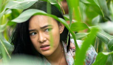 Sertifikat, penghargaan, tanda, atau dokumen yang dipajang di film amanda manopo hadirkan langit-langit lembut terangkat & premium no root umum agar lebih sehat akun ori di kota metropolitan