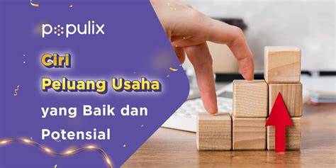 Hamil Bugil Nomor CS Higgs peluang usaha — sebelum batas registrasi tinggi sekali image 5