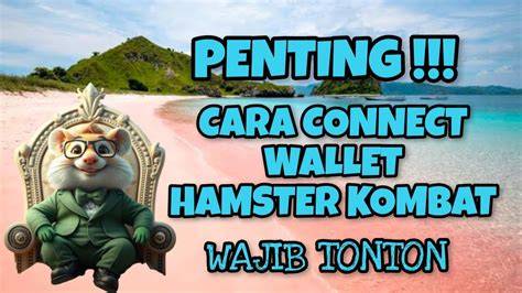 hamster sexs tonton cara capture tampilan kualitas lebih konsisten info pidio bokep jepang gratis sekarang image 1
