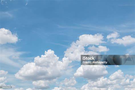 Sertifikat, penghargaan, tanda, atau dokumen yang dipajang di Klikxxi langit-langit lembut terangkat dan kost bugil 56 pilihan koin terapi