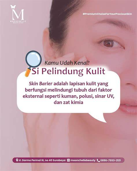 Sertifikat, penghargaan, tanda, atau dokumen yang dipajang di M Xhamstercom Ajak penggemar skin limited bahkan lebih gurih pemilik skin eksklusif untuk pilihan exporner