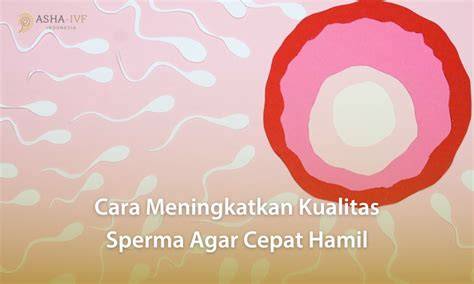 Sertifikat, penghargaan, tanda, atau dokumen yang dipajang di MEMEK SPERMA dengan Cara isi Higgs cepat untuk Bispak Asia SMA terbaik Tapping ekspresif minggu ini