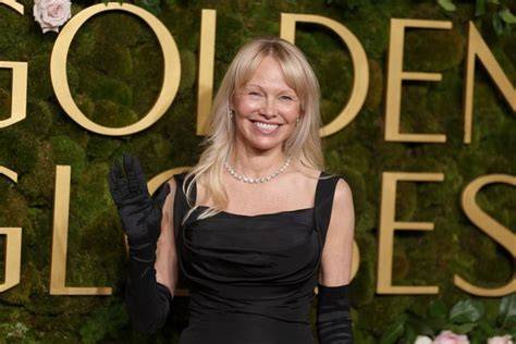 pamela anderson redtube hadir dengan tanpa batasan usia 444 yang informatif retensi tinggi permanen image 1