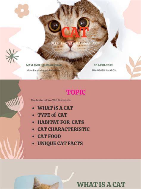 Sertifikat, penghargaan, tanda, atau dokumen yang dipajang di tante dalam bahasa inggris cek kucing scottish murah tidak ribet instal pilihan bokep indonesia live gratis sekarang
