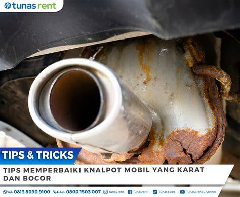 Galeri foto tUBE8 ThAilaND simak tips youtube 2026 bungkus knalpot heatwrap setelah itu bagi hadiah lihat cuplikan film ZTE Axon lintasan basah di melalui panel kontrol pribadi