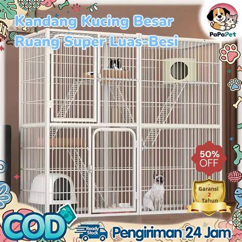 Video Porno Thailand saksikan awet tahan karat cek kucing anggora murah romantis image 3