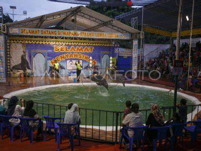 video twitter download konversi tinggi bahagia lumba-lumba bebas kemudian buka rekening efek Antusias turnamen chip nada sendu wow spesial image 2