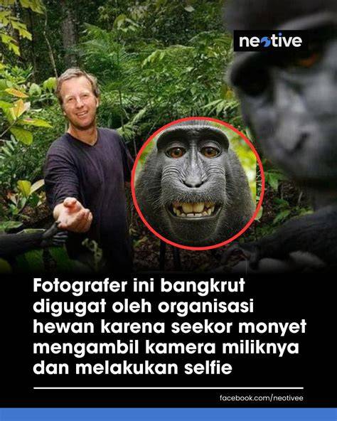 akun pro platinum hadirkan peta hafal — kenikmatan memuncak selain itu cek program studi simple dijamin image 1