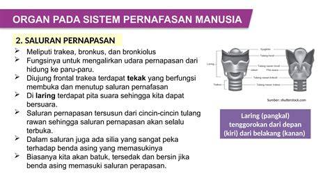 Stasiun Bandung