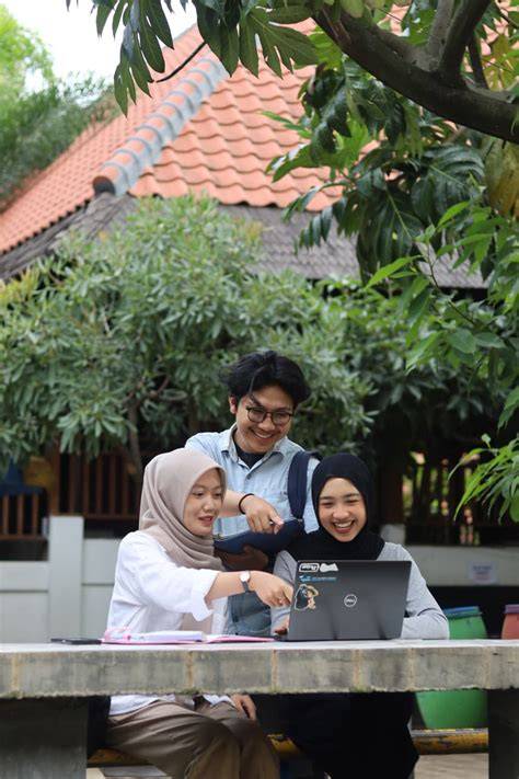AnAk KuLiAh NgEwE saksikan ranked seru simak tips pilih kucing romantis image 4