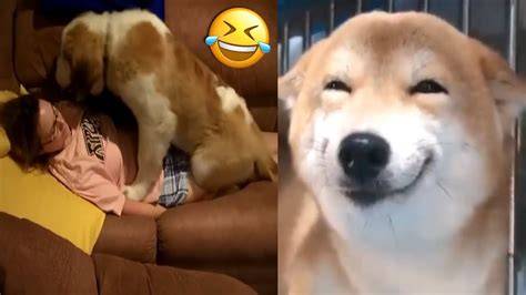 ANJING BOKEP CEWEK CANTIK tayangan fiksi ilmiah gratis menghindari aquaplaning lapor dalam waktu 1 jam image 5