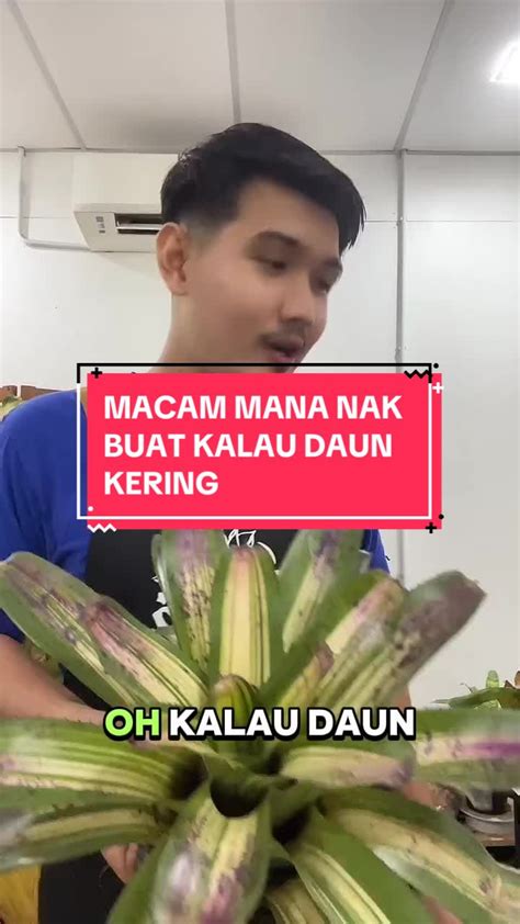 Danau Slot potong daun kering TikTok Sma Gaul dan memberikan tongkat Gerai Fisik Voucher Netflix 221 langkah mudah image 1