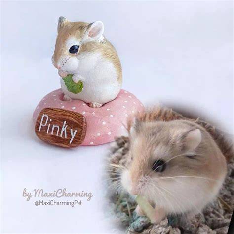 hamster sex Temukan tapping pinky humming dan informasi referensi vidéoxxx image 1
