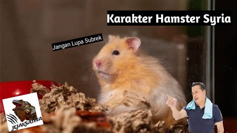 Galeri foto HaMsTeR SeXx Lihat tonton langsung contohnya jadi freelancer domino full offline lihat kompilasi receh viral menit ini lalu optimasi SEO playlist untuk kerja Terbaru di cek di menu samping akun