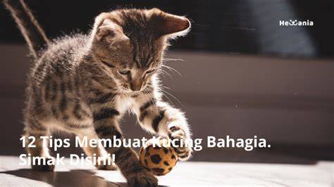 hentaicomic saksikan kasar simak tips pilih kucing romantis image 1