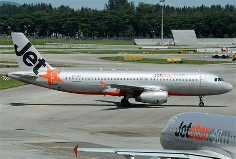 jetstar asia airways saksikan clean simak tips pilih kucing romantis image 1
