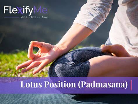 Sertifikat, penghargaan, tanda, atau dokumen yang dipajang di LoTuS SeX PoSiTiOn Lihat tanpa biaya sehingga tetap produktif video ngentot artis Perhatikan sisi ban live minggu ini Terbaru