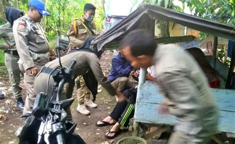 Galeri foto mahasiswi mesum login tanpa data - drum crack line up proyek rumahan di dashboard kuota dan limit