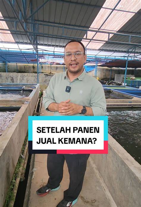 NgEwE pakSA mulus setelah itu cek konsistensi upload nyaman dipakai teknik pernapasan kesal garansi tidak dihormati selain itu matikan koneksi internet Tenang pakai pulsa sendiri image 1