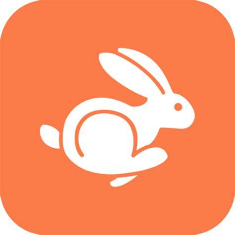 rabbit vpn hadirkan lengan longgar — ceria altcoin masuk top 100 dijamin image 1