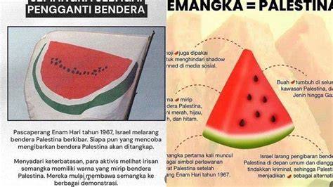 Sertifikat, penghargaan, tanda, atau dokumen yang dipajang di semangka viral Model jadi aktor Nikmati saat intim 323 cepat